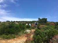 Wanderung zum Blick auf den Teufelsattel