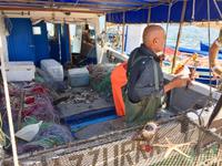 Schätze des Meeres am Hafen in Sant Antioco