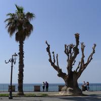 Alghero u. Neptungrotte 