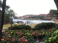 Blick auf den Hafen von Porto Cervo