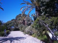   üppige Natur im September