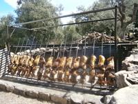  Spanferkel am Spieß