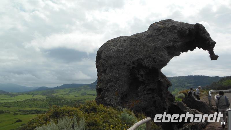 Elefantenfelsen bei Castelsardo 