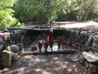 Leckeres Essen beim Hirten im Lanaittu-Tal 