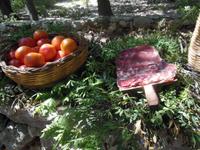 Leckeres Essen / Picknick im Lanaittu-Tal 