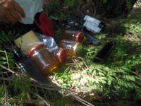 Leckereien im Lanaittu-Tal 