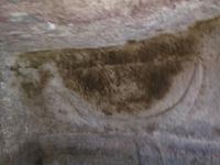 Stierhörner im Elefantenfels 