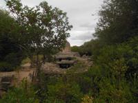 Coddu Vecchiu Gigantengrab der Nuraghen 