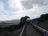 Elefant 
