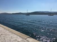 IMG_1480