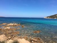 IMG_1550