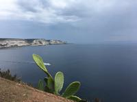 IMG_1591