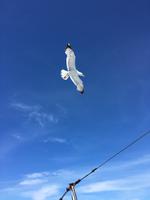 IMG_1915