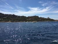 IMG_1916