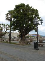 In Alghero