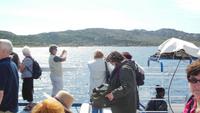 auf dem Schiff nach La Maddalena 