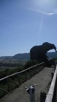 der Elefant 