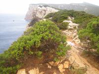 die Felslandschaft 