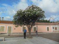 in San Pantaleo 