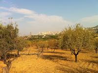 im Tal der Tempel in Agrigento