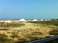 entlang der Salzstraße