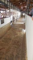 Villa Romana 63 Meter langer Gang mit komplettem Mosaikfußboden