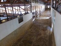 063-Villa_Romana_del_Casale