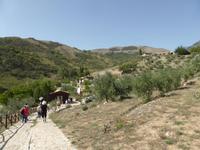 146-Agriturismo_Gelso