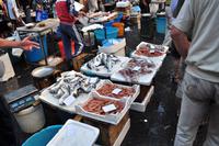 Fischmarkt in Catania