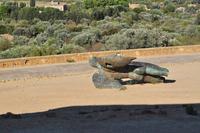 Tal der Tempel in Agrigent