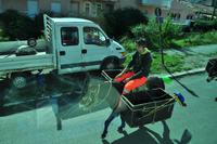 Müllabfuhr in Castelbuono