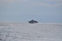 Aliscafi - Tragflügelboot