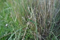 Aufstieg zum Gran Cratere