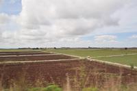 Viehzucht in der Provinz von Ragusa