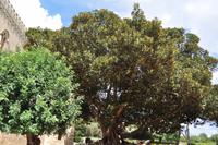 Castello di Donnafugata