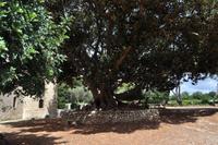 Castello di Donnafugata