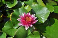 Castello di Donnafugata