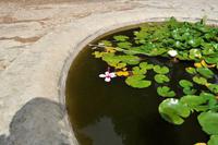 Castello di Donnafugata