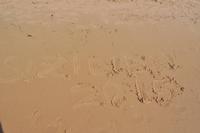 Spiaggia di Punta Secca 