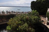 Papyrus in der Aretusa-Quelle von Syrakus