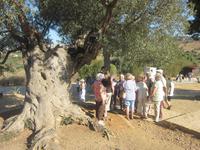 Ankunft im Tal der Tempel
