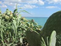 Das Meer war allgegenwärtig