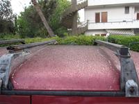 Ascheregen- ein erster Gruß vom Ätna