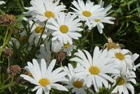 Sizilien 22.04-29.04. 167