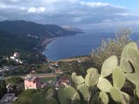 die Küste Richtung Norden