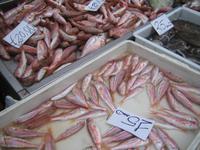 ... drängen sich von Stand ... 