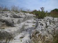 Hinter den Felsen befinden sich künstliche Grotten. 