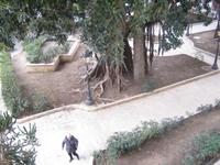 die Parkoase an der alten Quelle