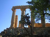 Er ist von vielen Pflanzen umgeben. 