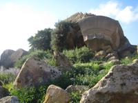 Der Zeustempel war so groß wie ein Fußballfeld. 